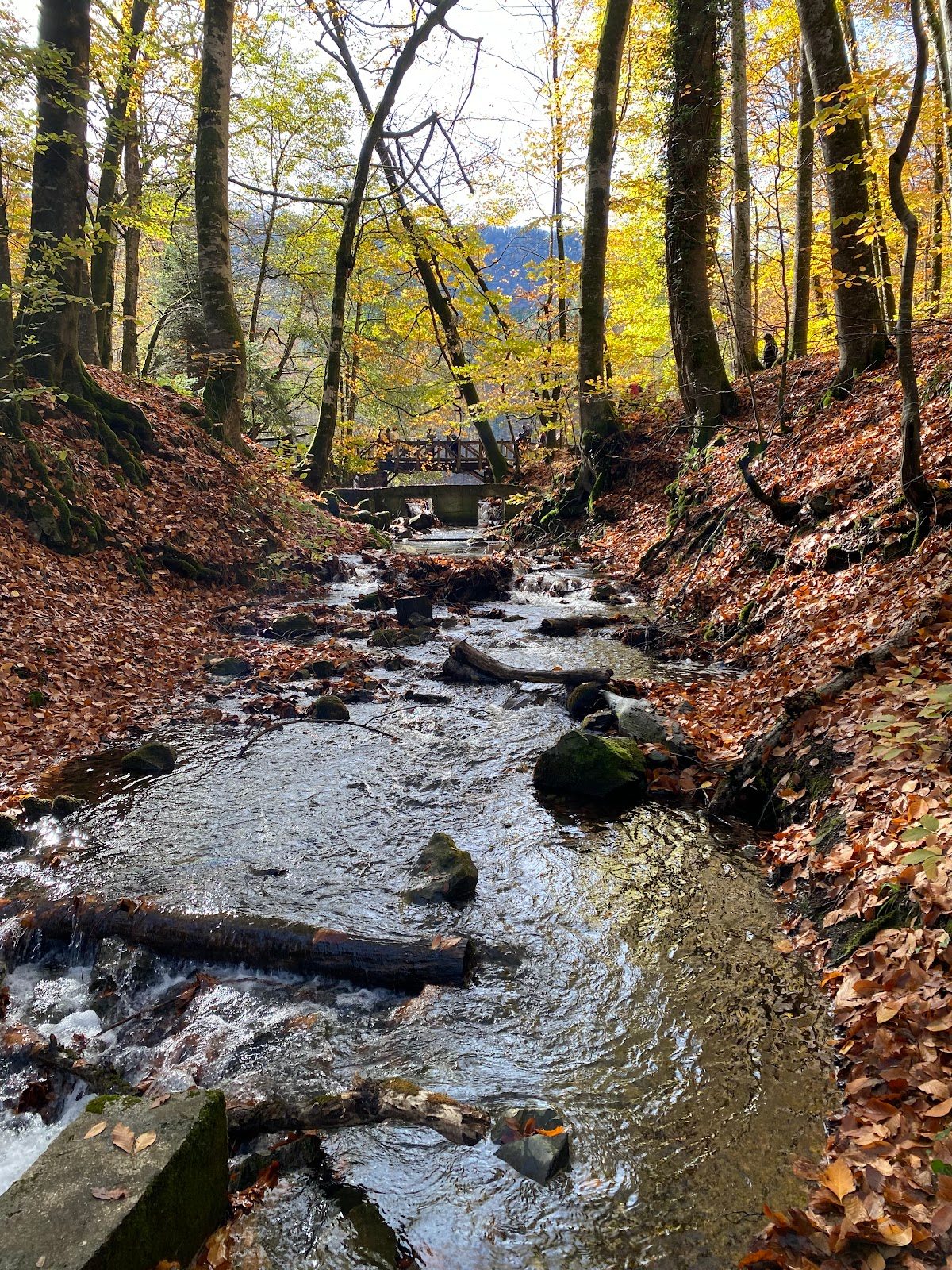 Yedigöller - 3