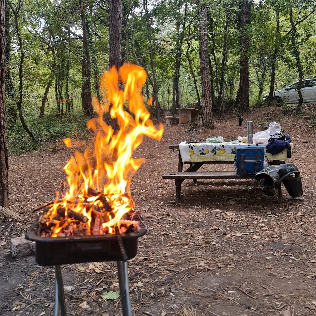 Taşdelen Recreation Area - 5