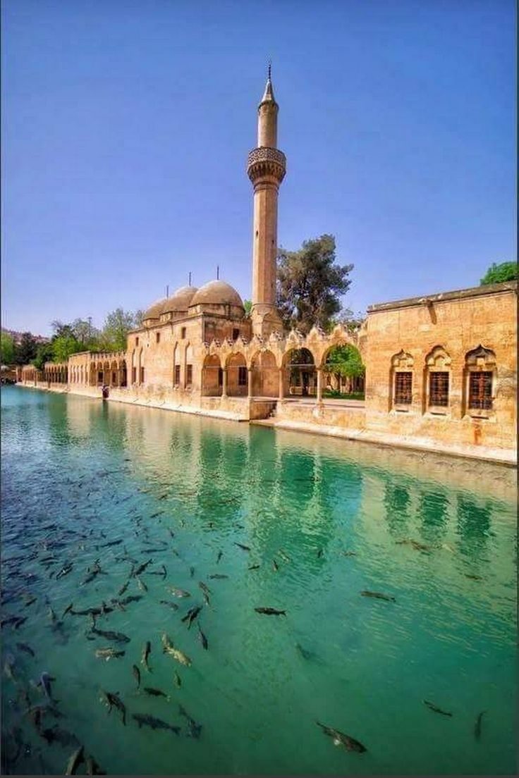 Balıklıgöl (Halil-ür Rahman Gölü)