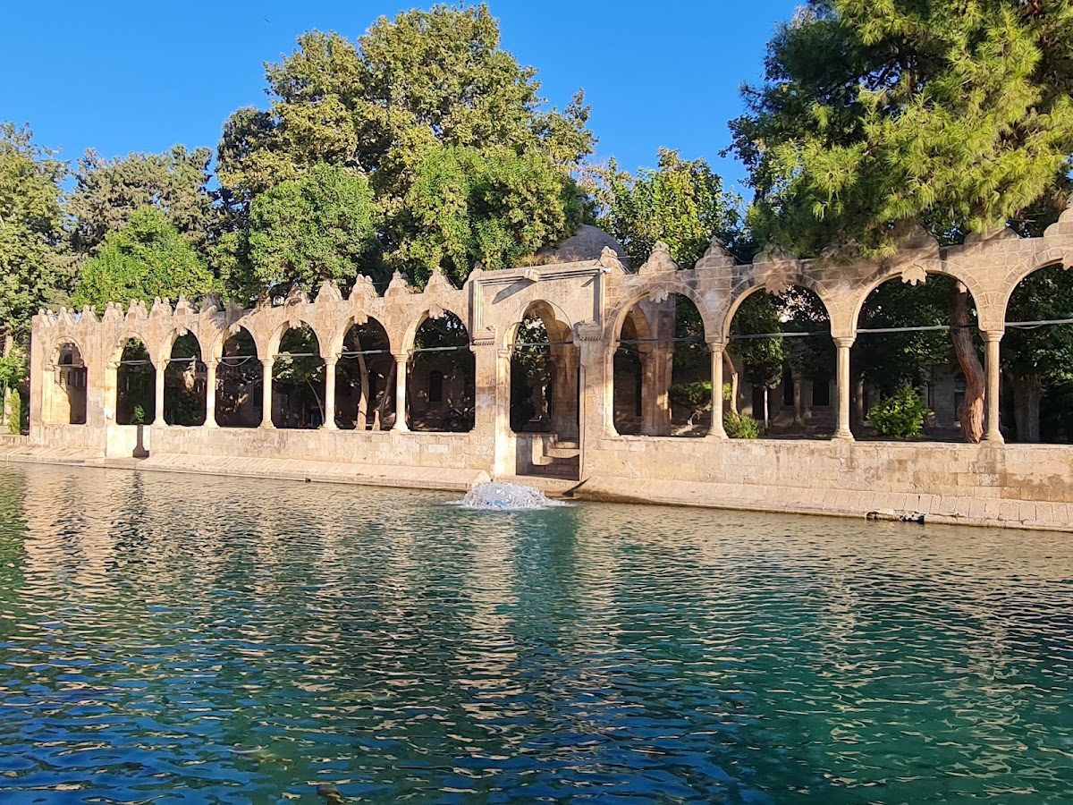Balıklıgöl (Halil-ür Rahman Gölü) - 3