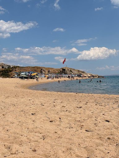 İtalyan Koyu - 1