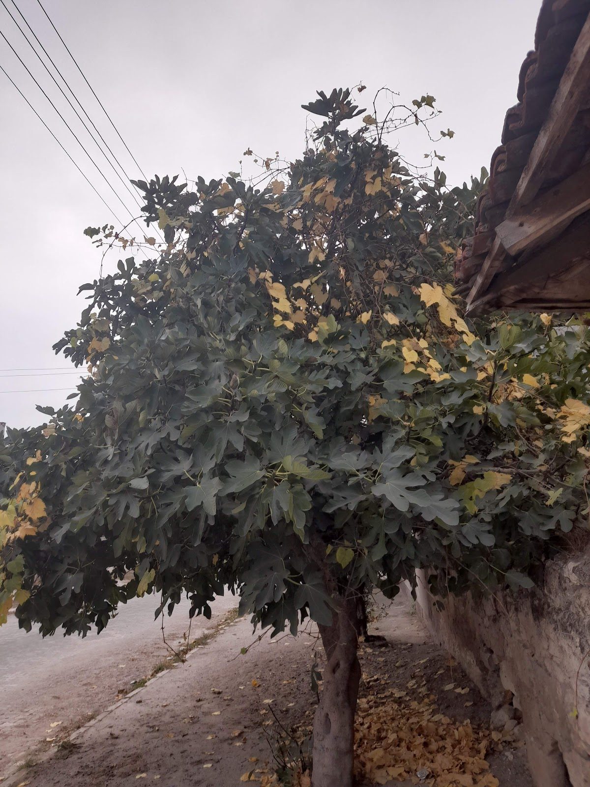 Susurluk Göbel Kaplıcaları