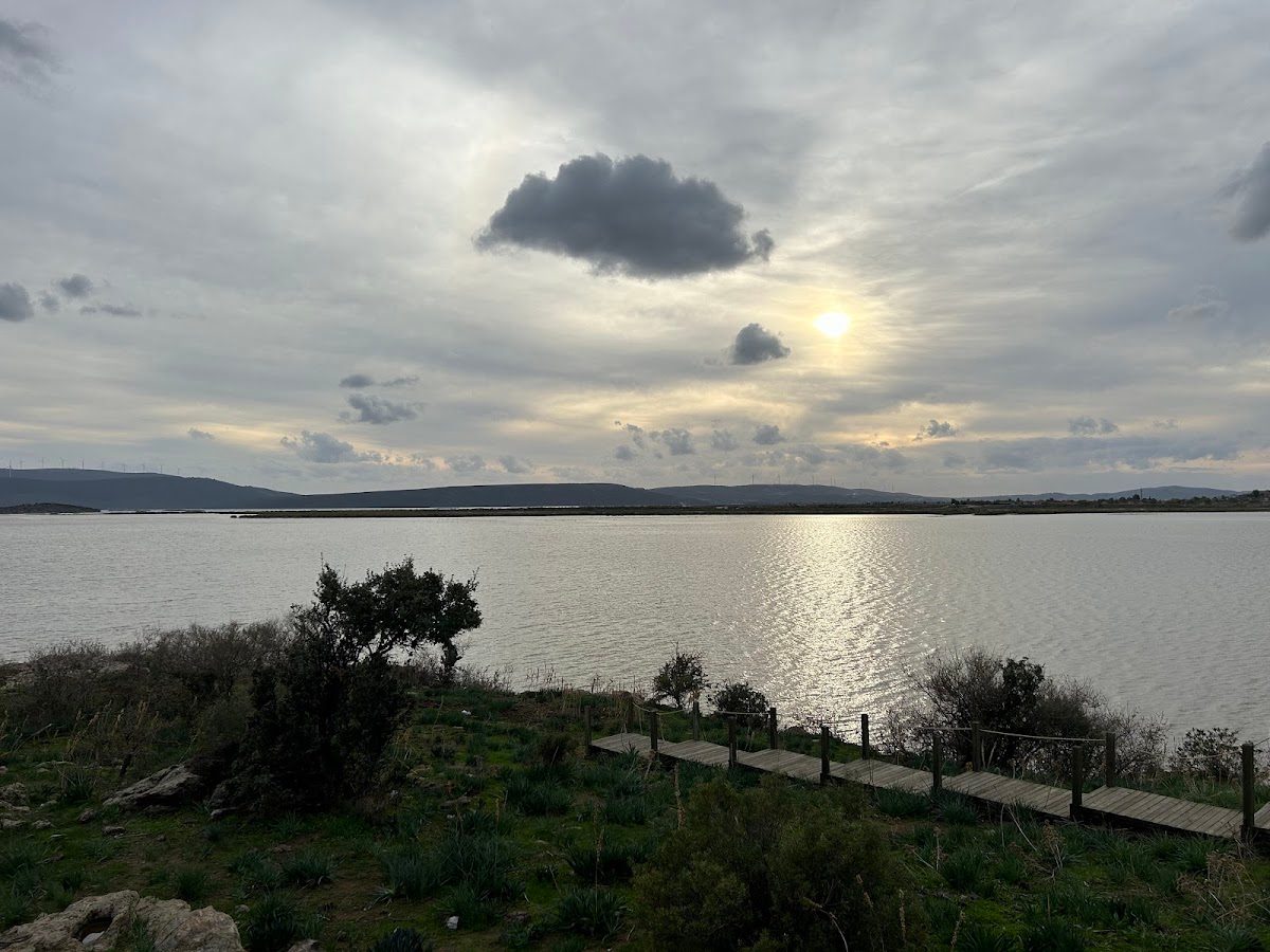 Bafa Gölü Tabiat Parkı (Milas Kısmı) - 3