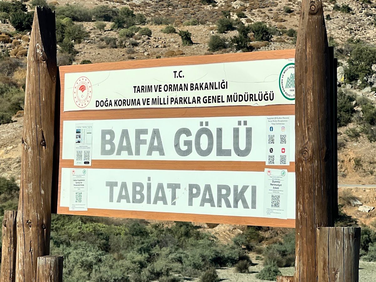 Bafa Gölü Tabiat Parkı (Milas Kısmı) - 5