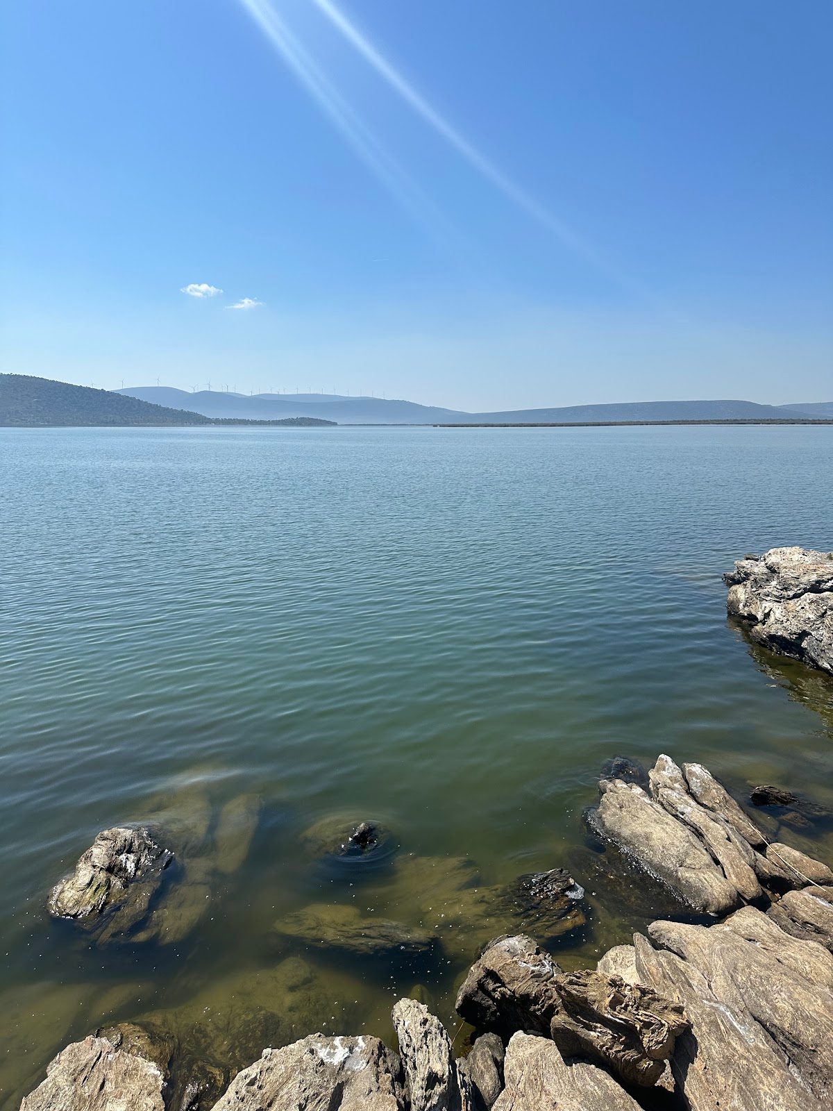Bafa Gölü Tabiat Parkı (Milas Kısmı) - 6