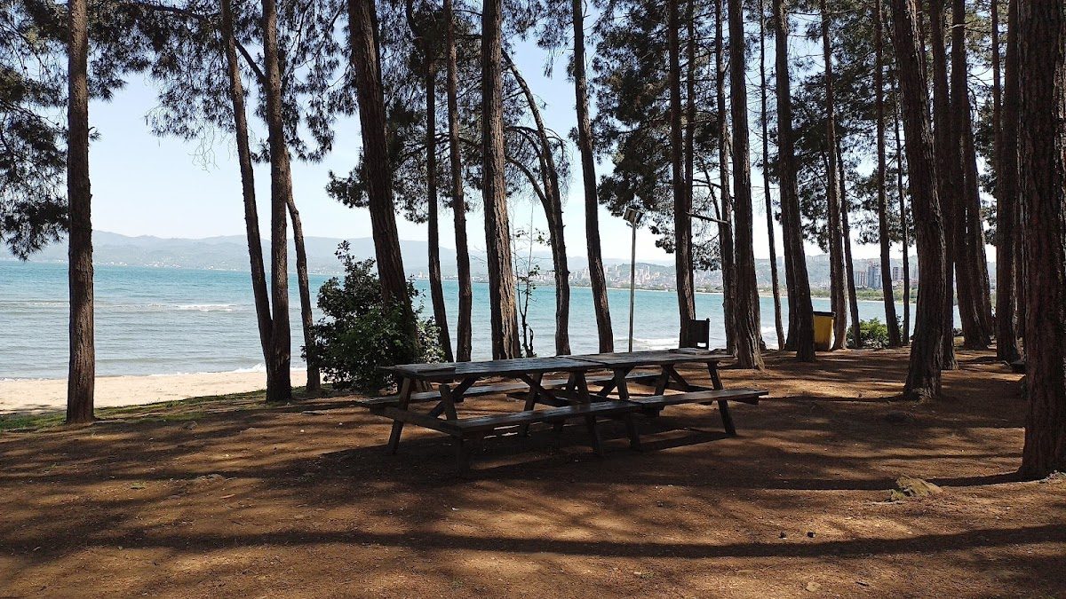 Full Moon Beach - 5
