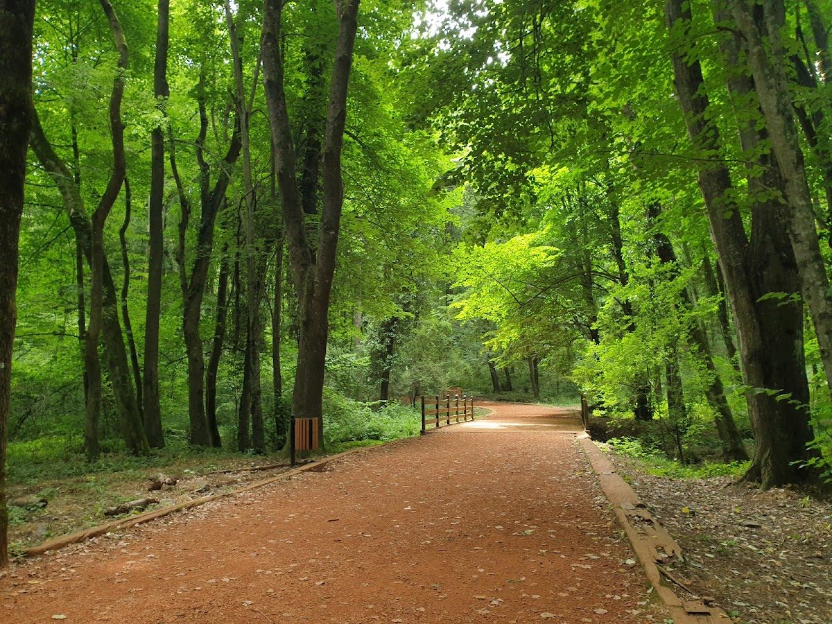 Irmak Tabiat Parkı - 3
