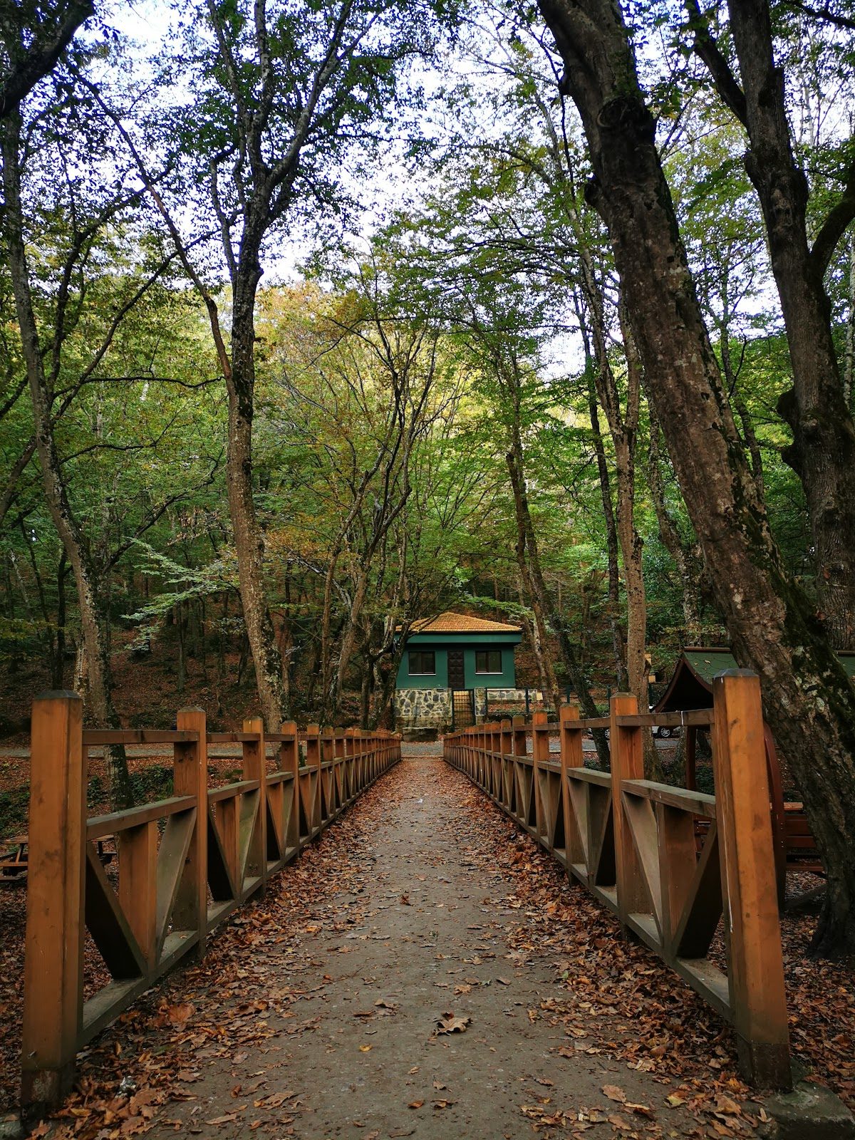 Irmak Tabiat Parkı - 5