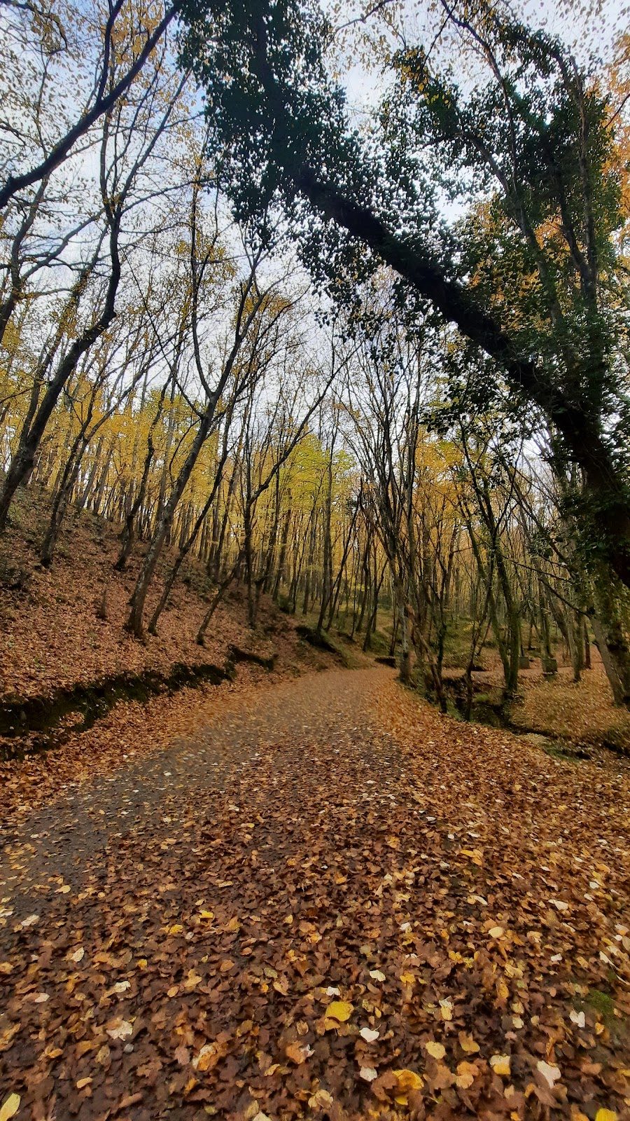 Irmak Tabiat Parkı - 6