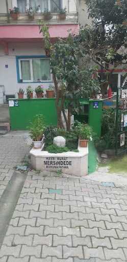 Hayri Murad Mersin Dede Tomb - 1
