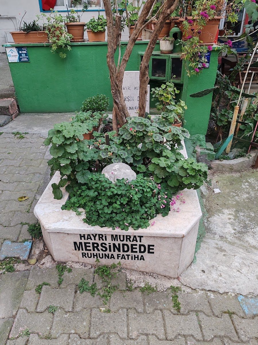 Hayri Murad Mersin Dede Tomb - 2