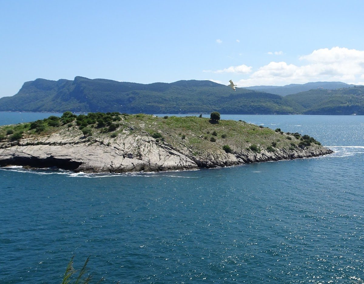 Rabbit Island