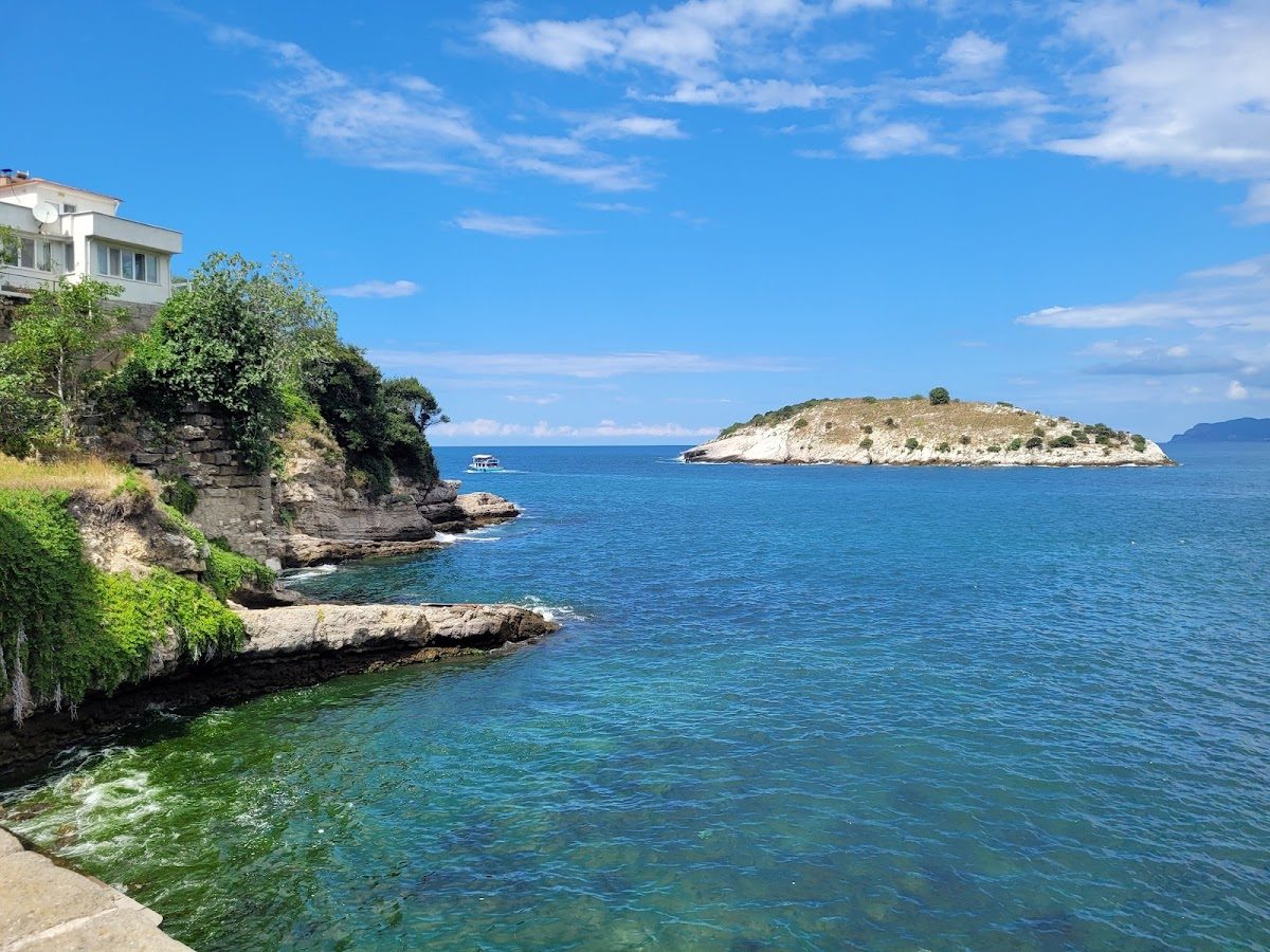Rabbit Island - 3