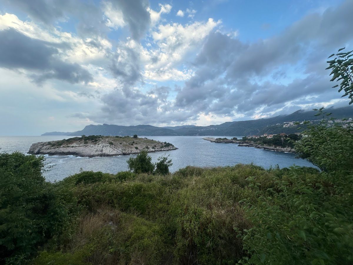 Rabbit Island - 5