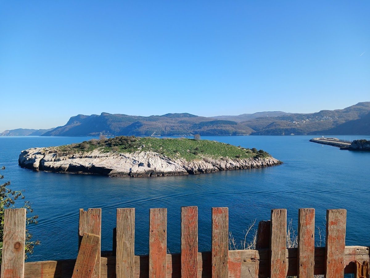 Rabbit Island - 7