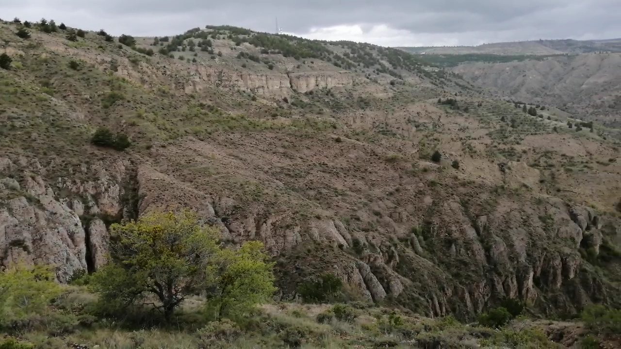 بستان المدينة ومنطقة الاستجمام - 1