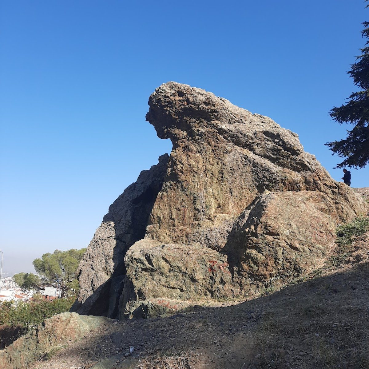 صخرة نوبي تبكي - 5