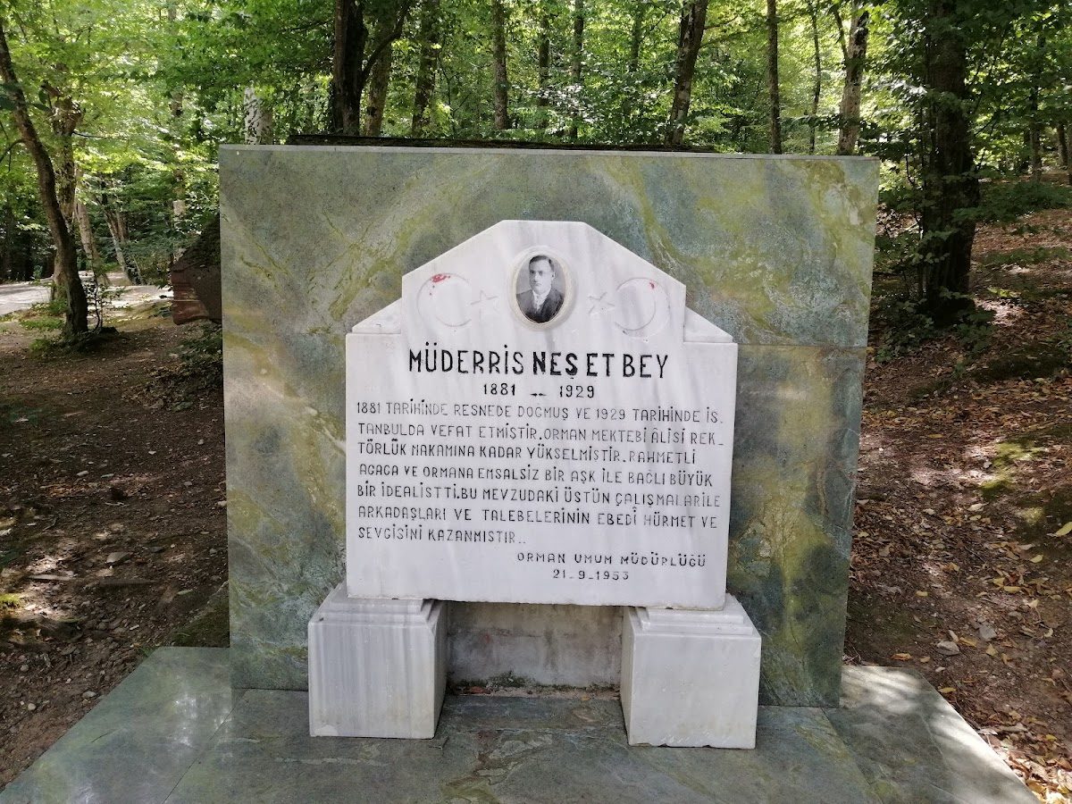 Neşetsuyu Tabiat Parkı