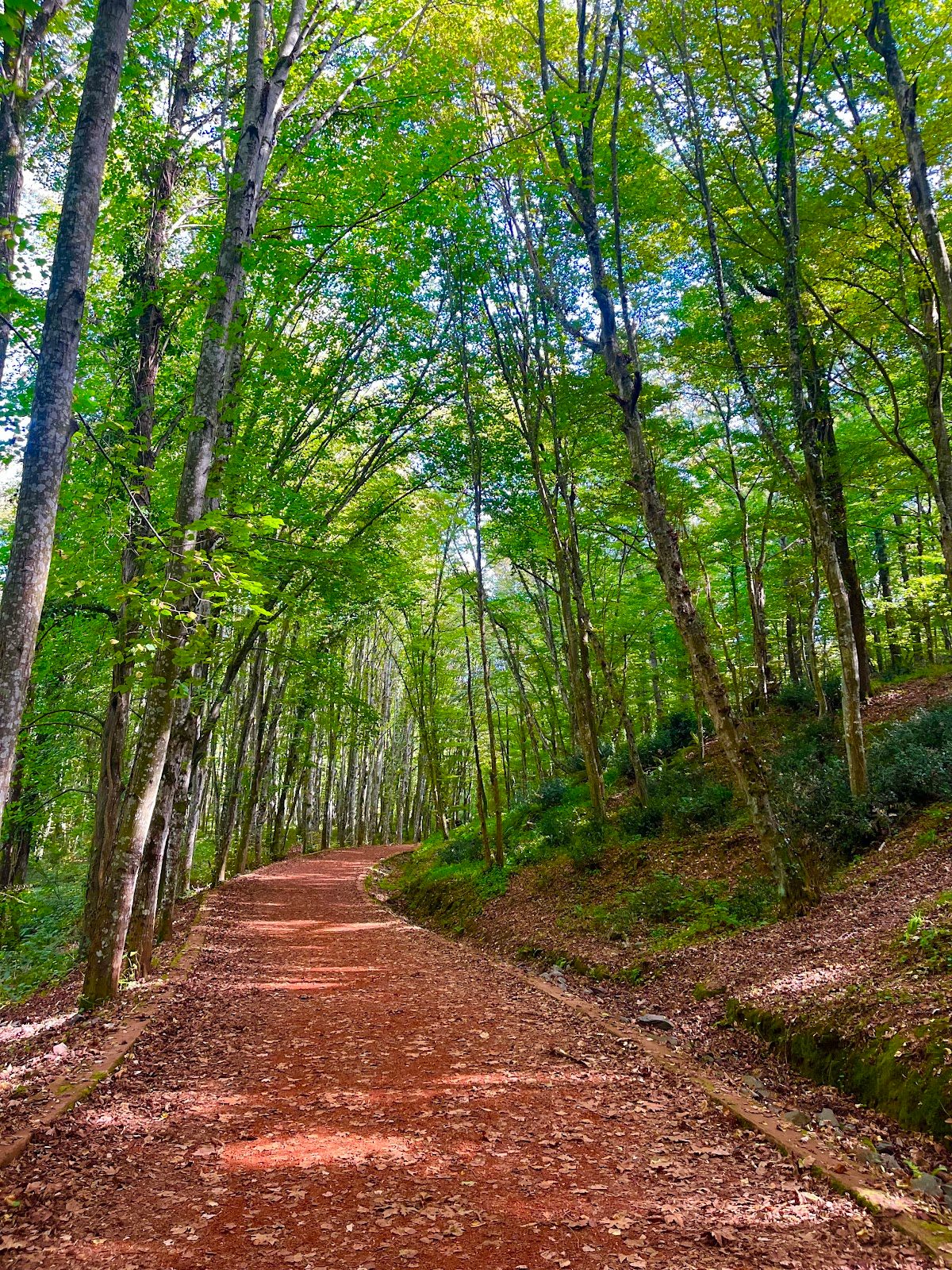 Neşetsuyu Tabiat Parkı - 3