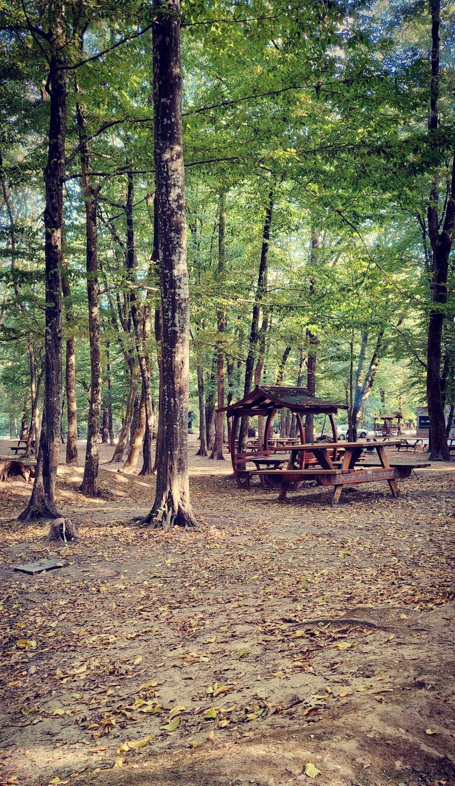 Neşetsuyu Tabiat Parkı - 7