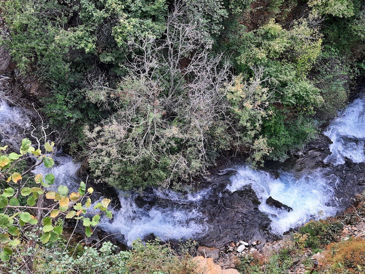 Tomara Waterfall Nature Park - 5