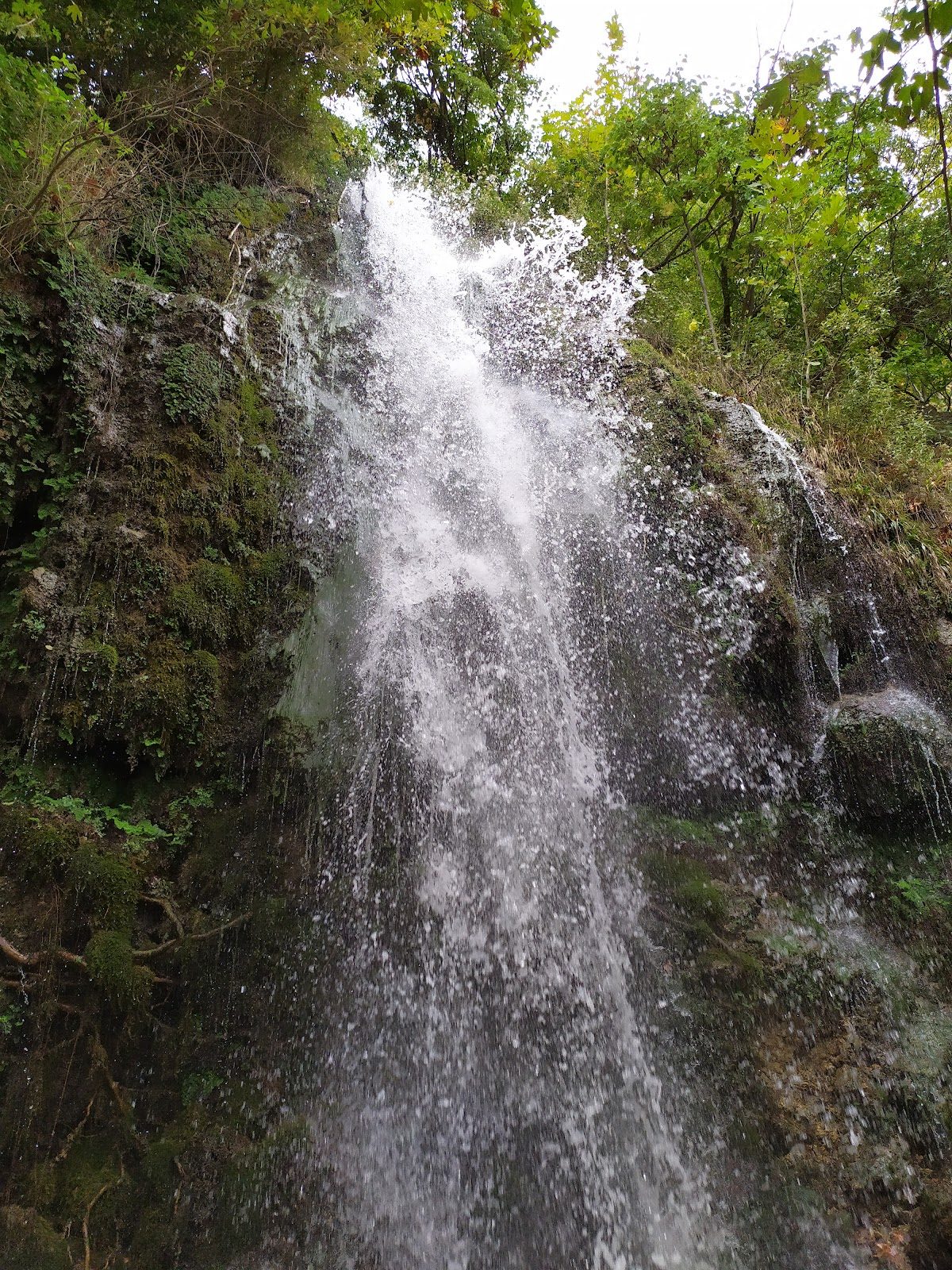 شلال سافرُك - 3