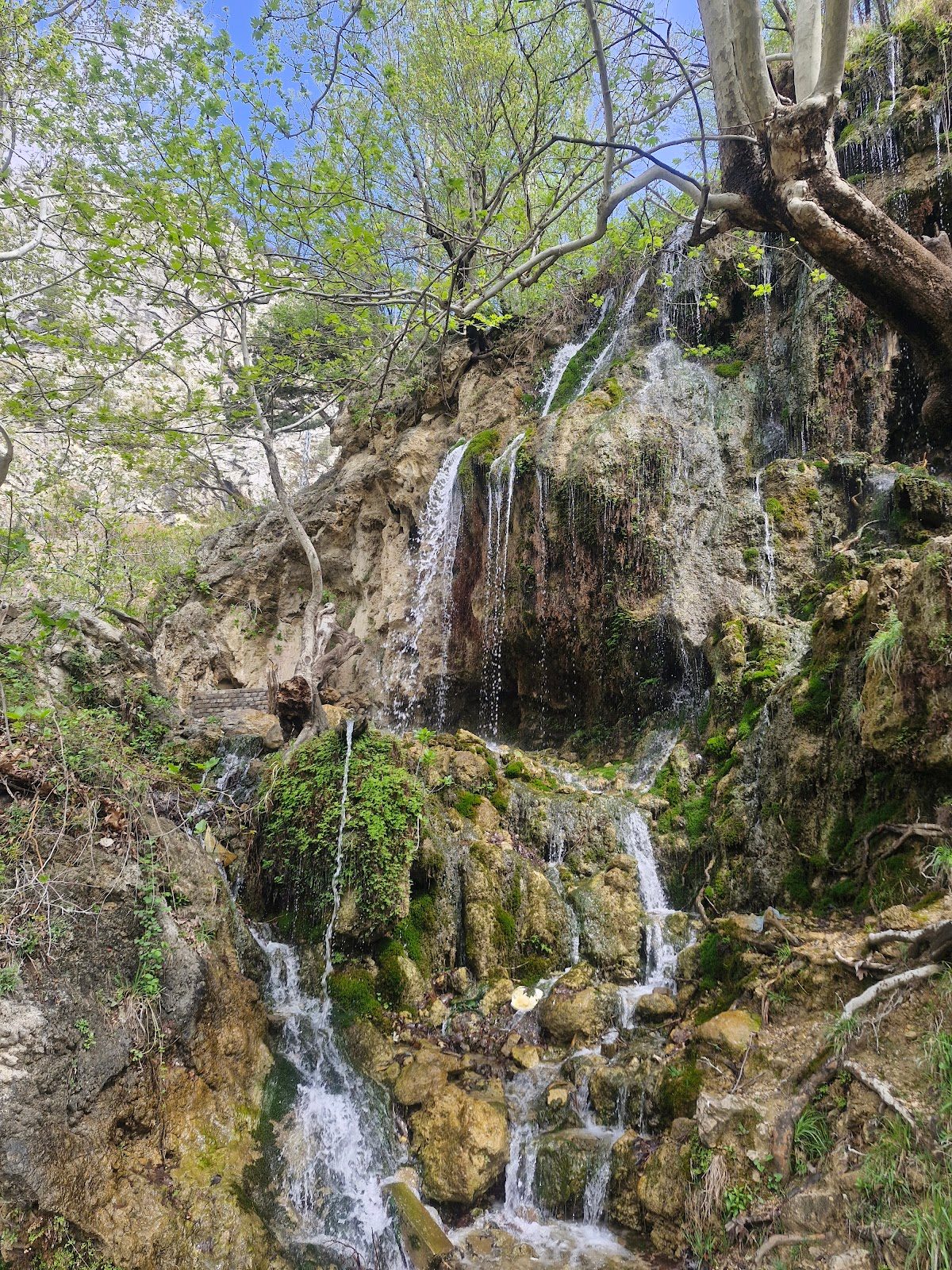 شلال سافرُك - 5