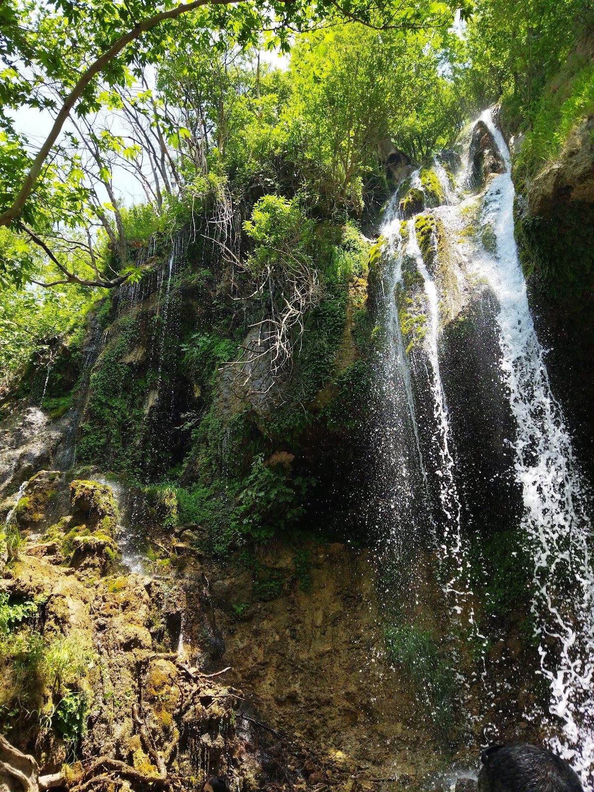 شلال سافرُك - 6