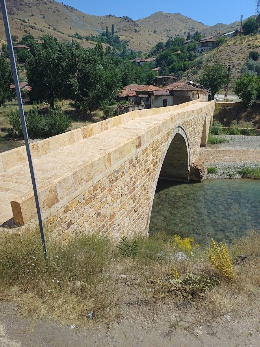 جسر الباشا