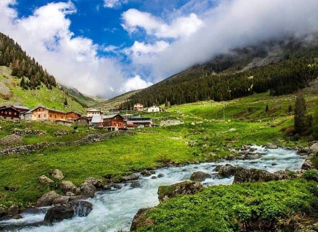 Elevit Plateau