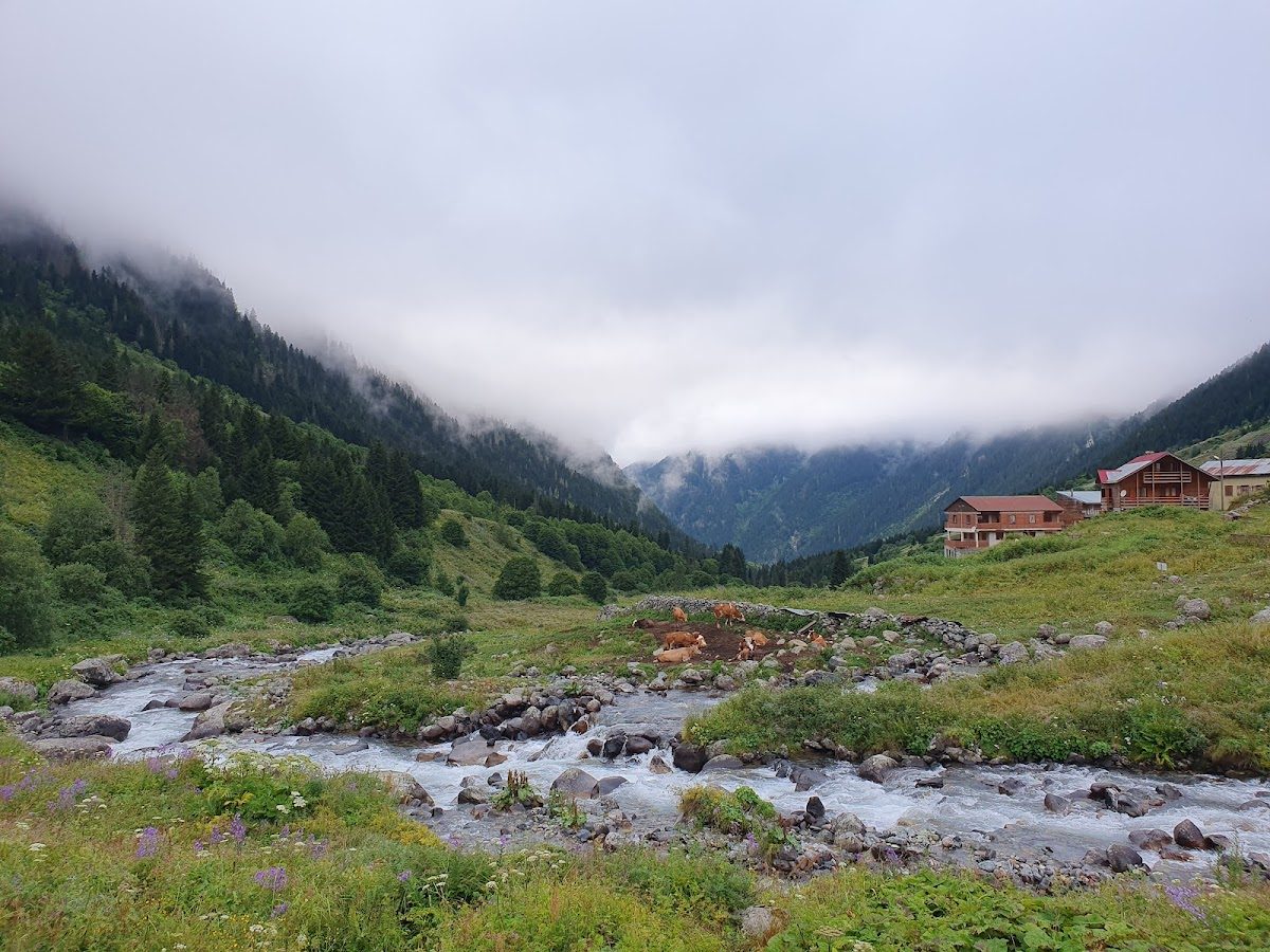 Elevit Plateau - 3