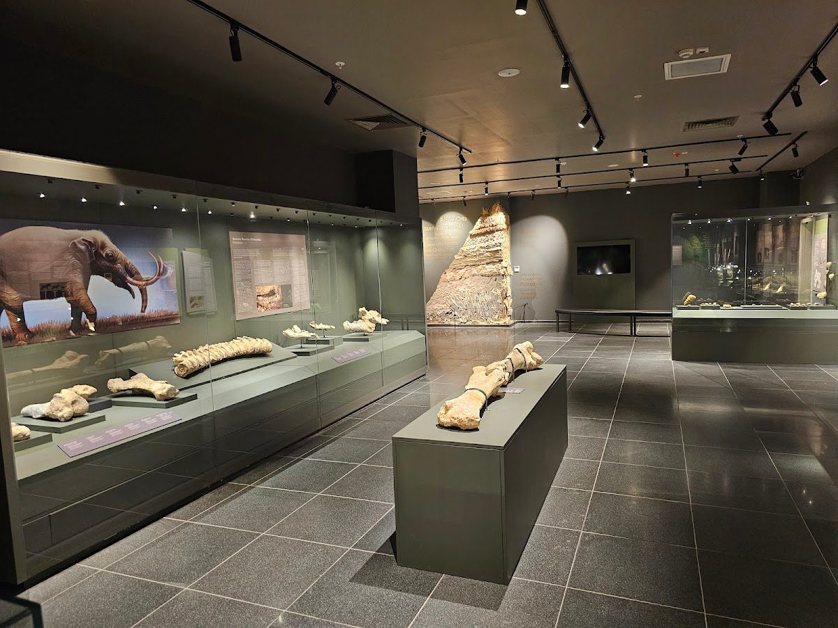 Kırşehir Museum - 3