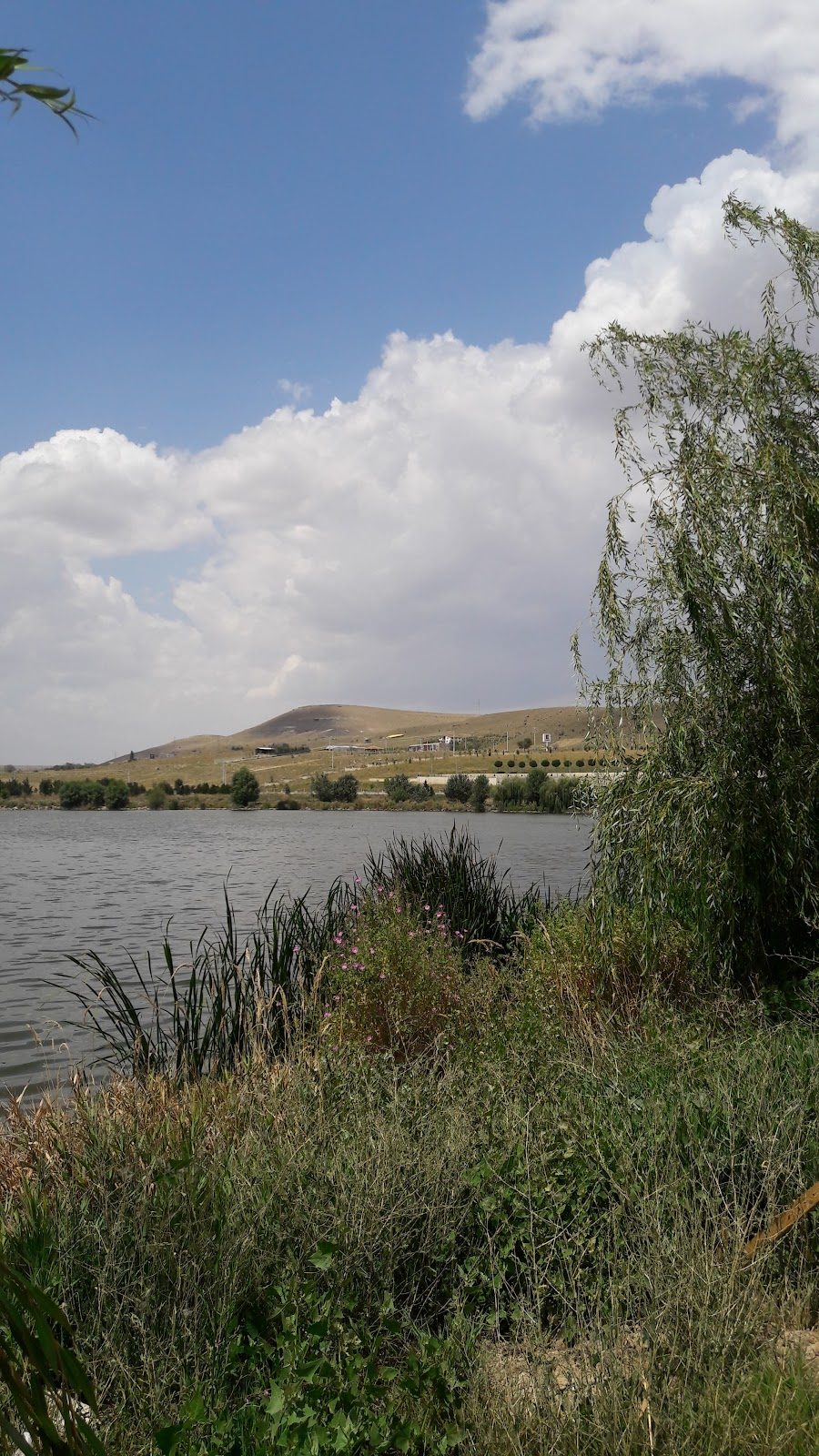 August 26th Nature Park