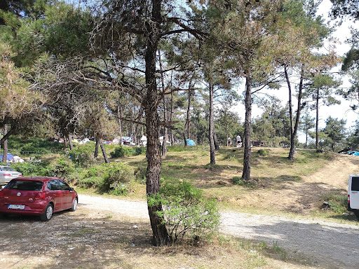 Gökçetepe National Park - 4