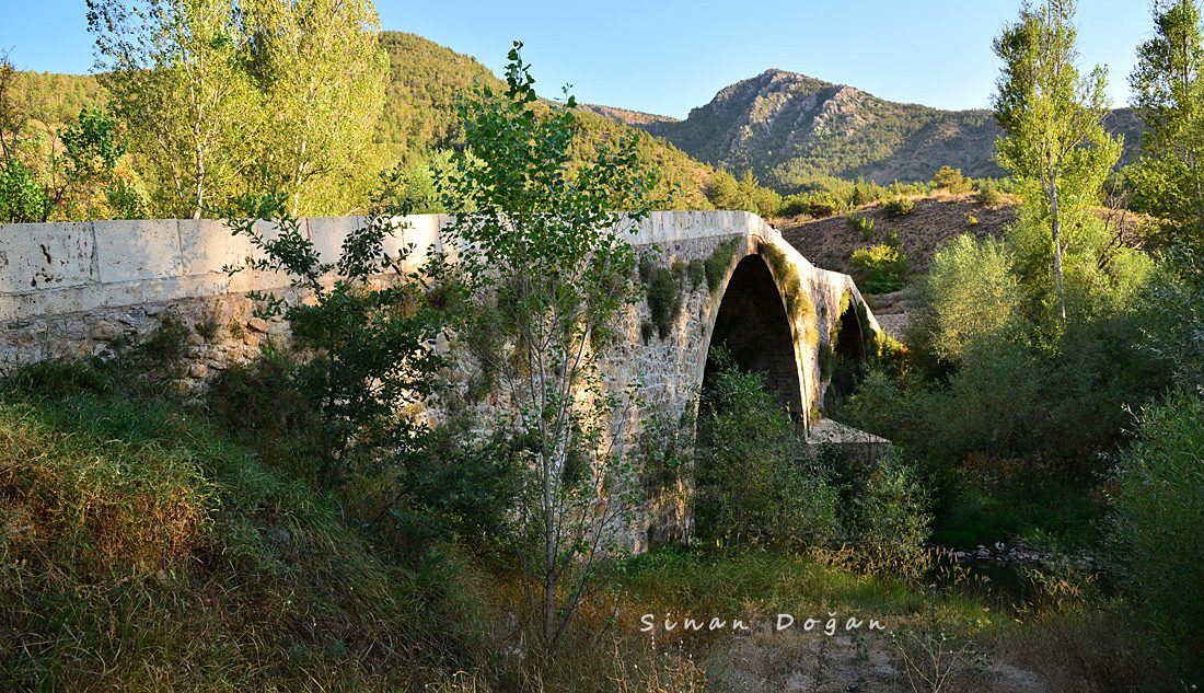 Tohumoğlu Bridge