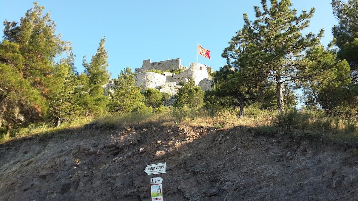 Atatürk Hatıra Ormanı - 5