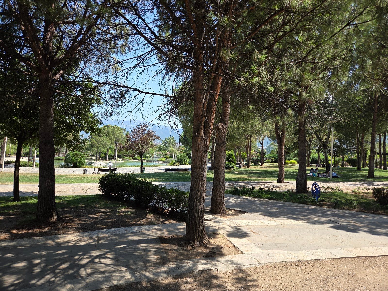 حديقة العدالة - 1