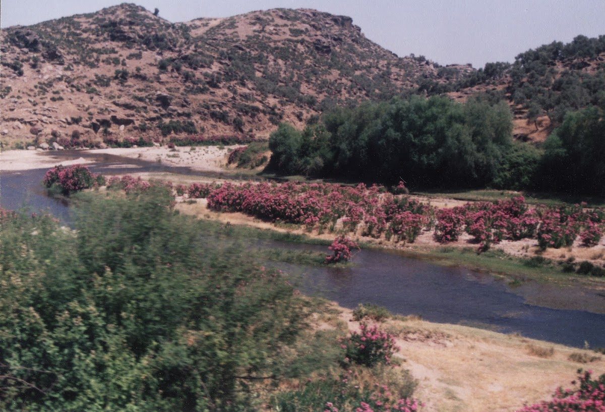 Çine Vadisi - 5