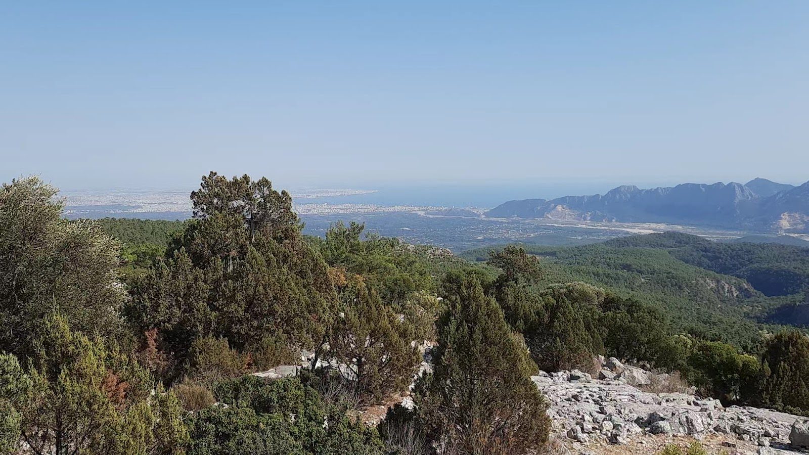 كلبشوس - 1