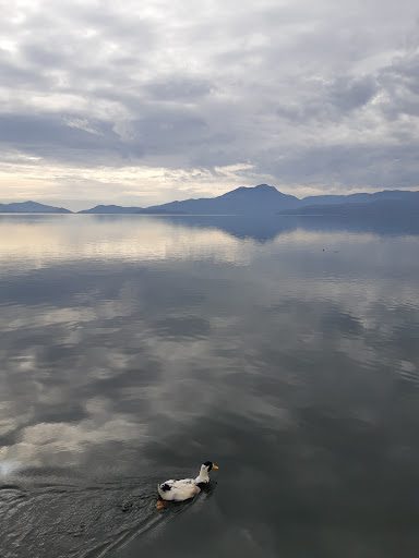 Köyceğiz Gölü - 1