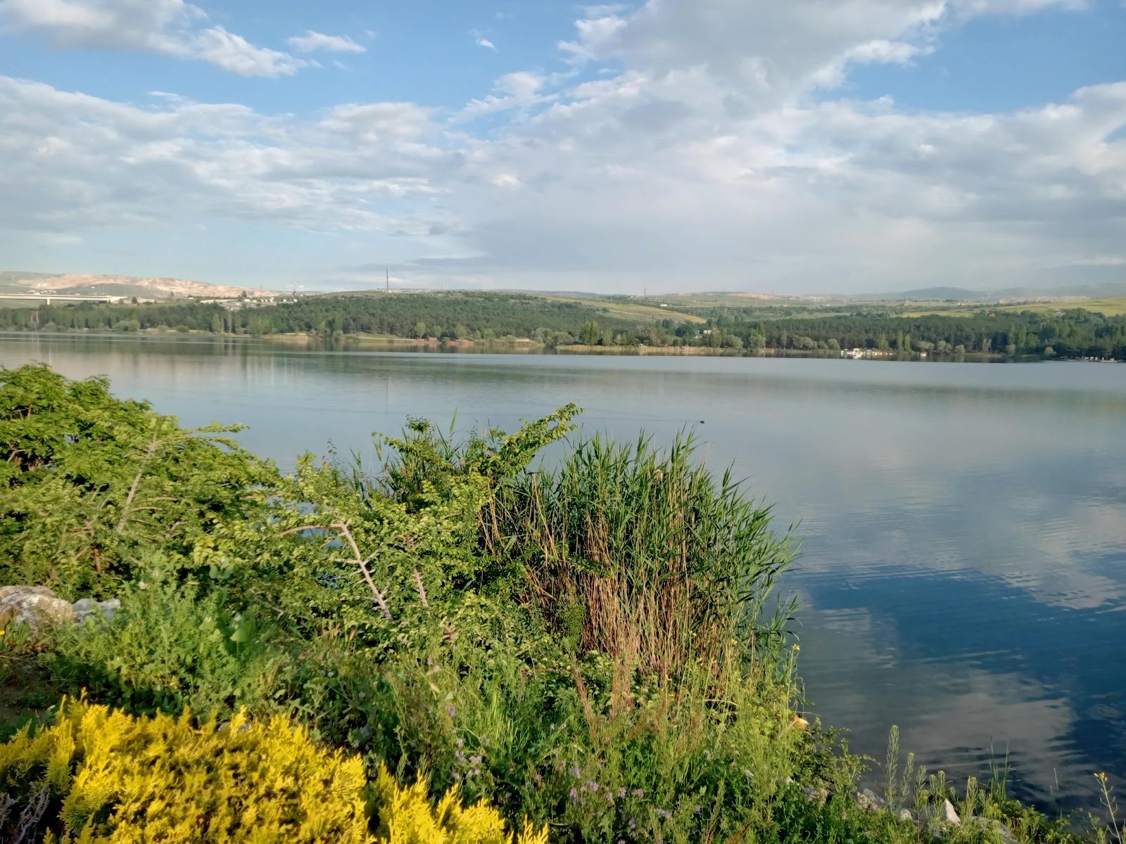 Bayındır Lake Ankara
