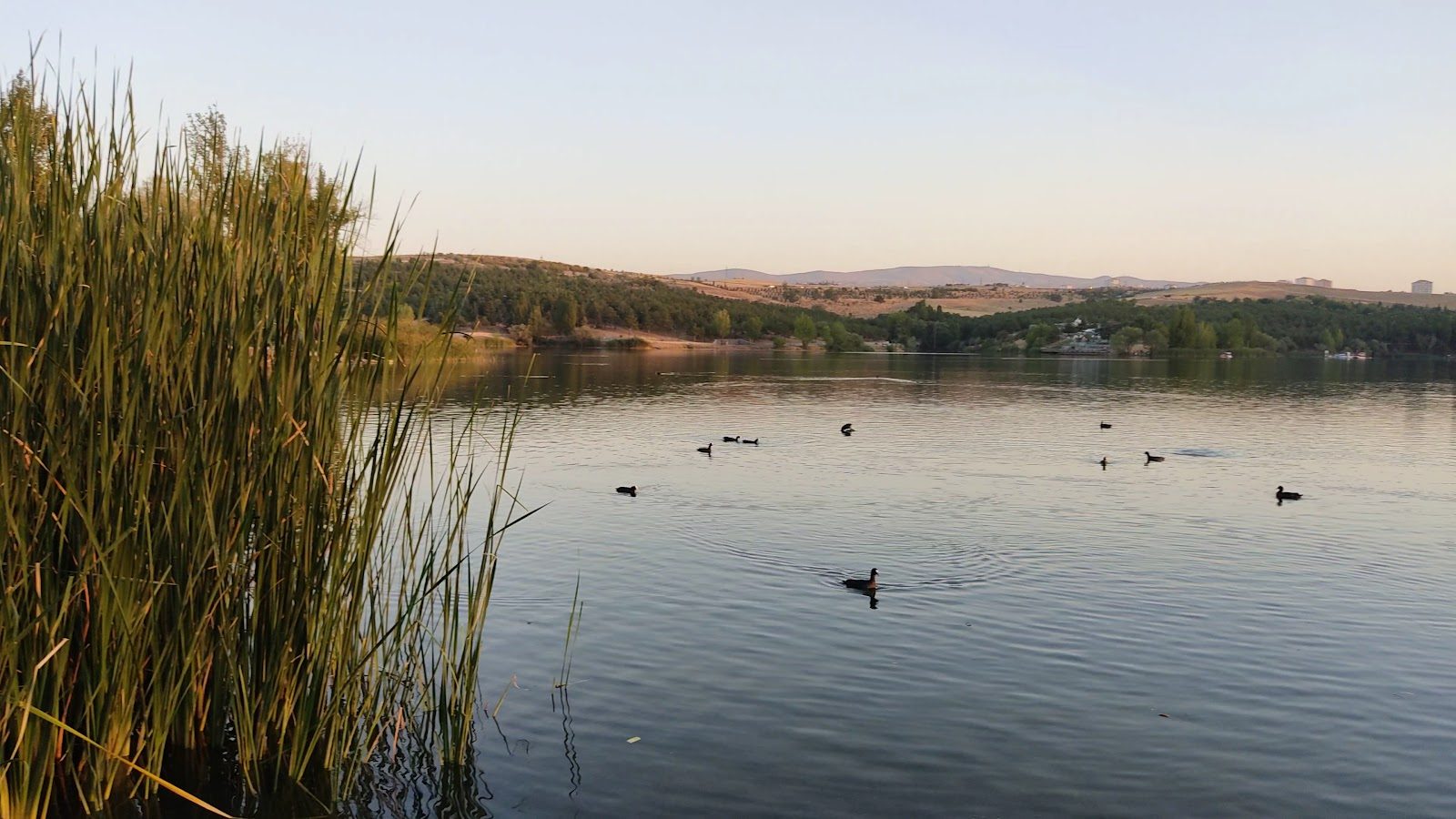 Bayındır Lake Ankara - 3