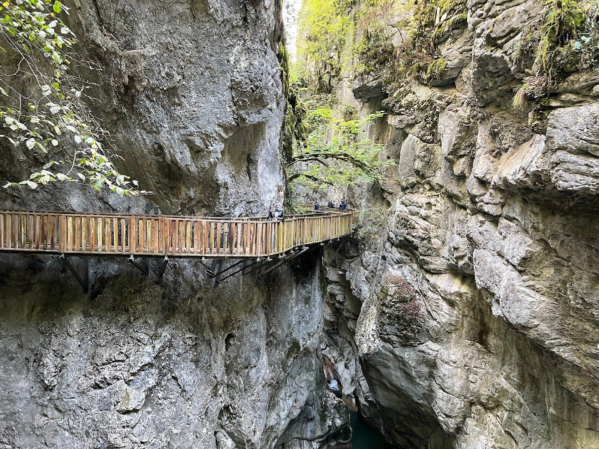 Küre Dağları Milli Parkı - 3