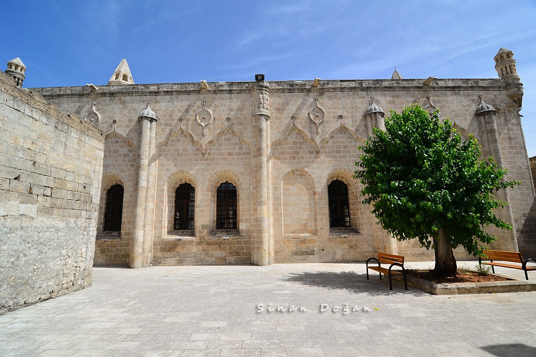 Ruffled Mosque - 7