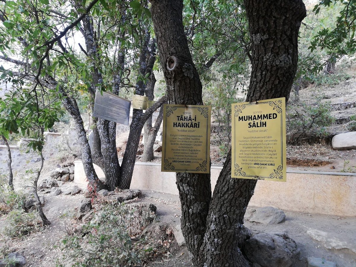 Nehri Pirs' Cemetery - 5