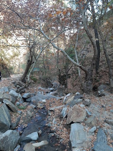 Çağlayan Tabiat Parkı - 2