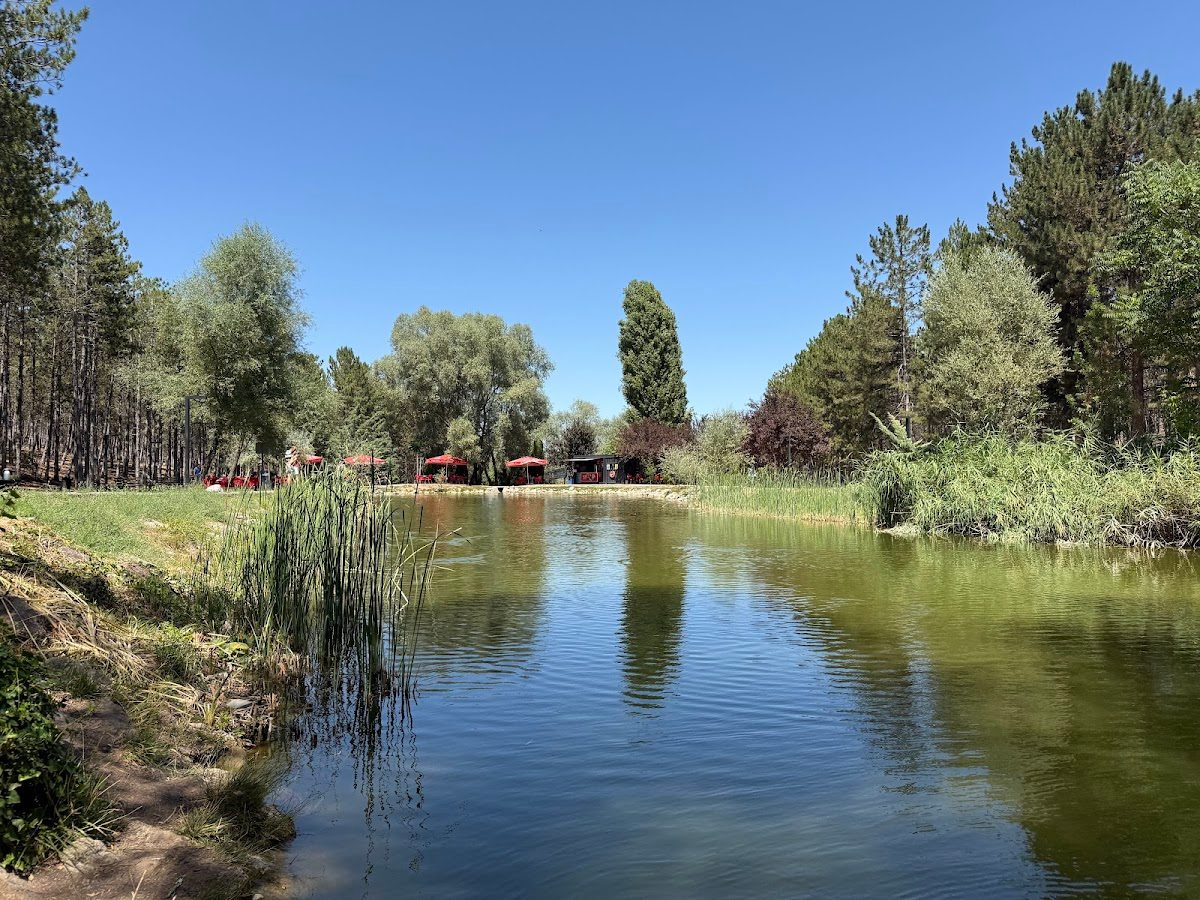 Green Valley