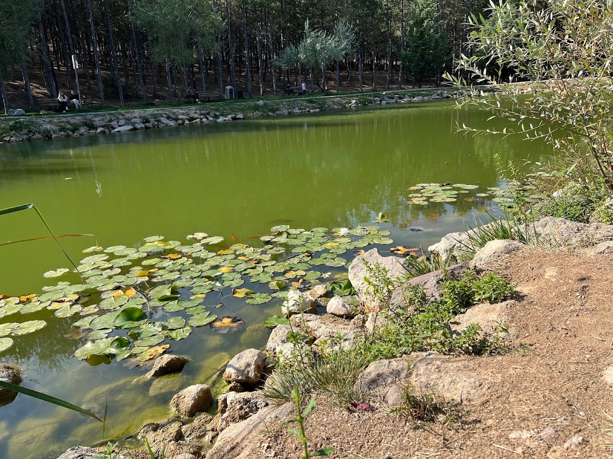 Green Valley - 3