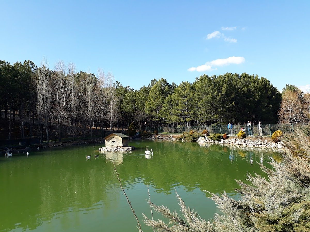 Green Valley - 4