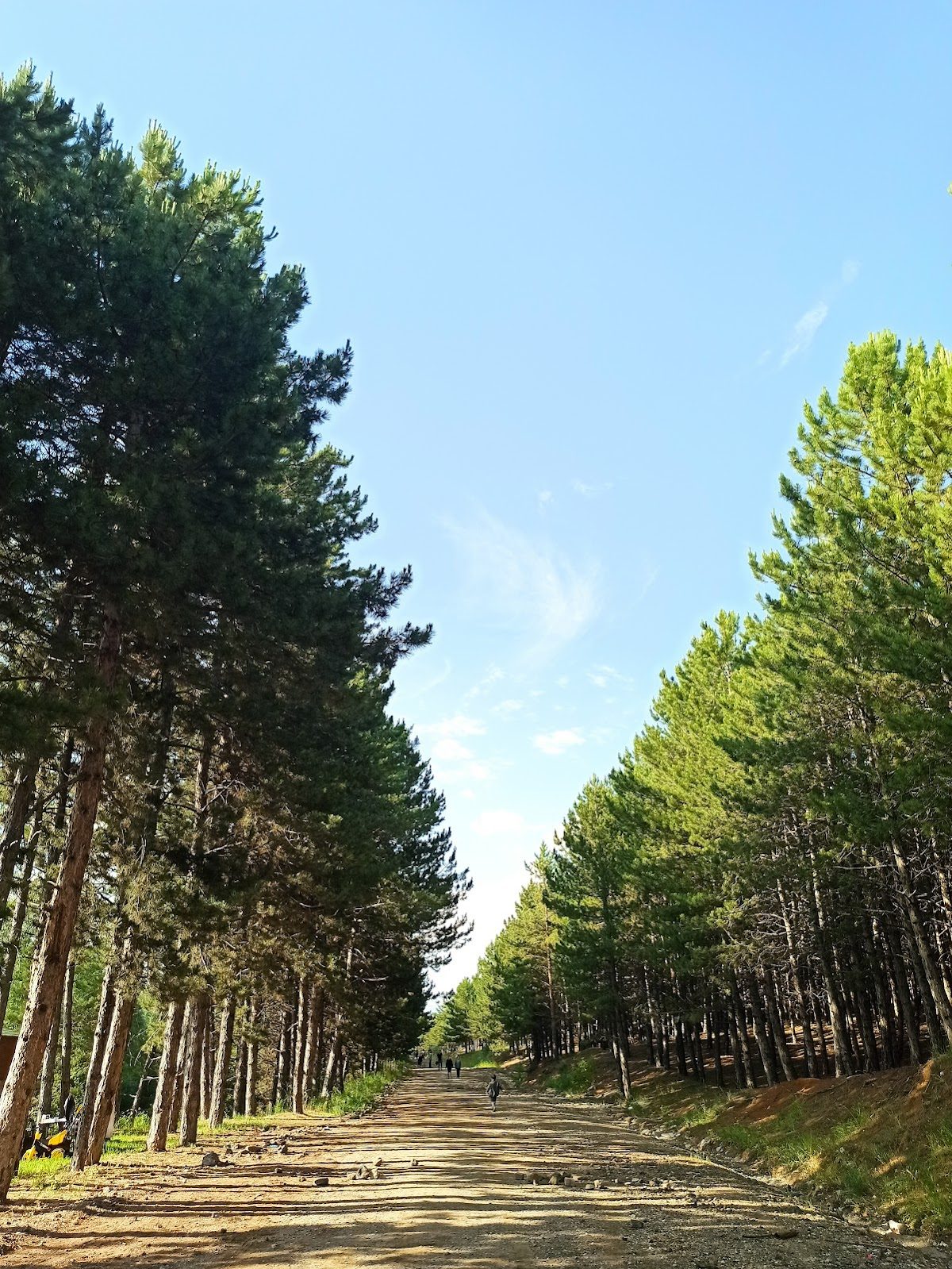 Green Valley - 5